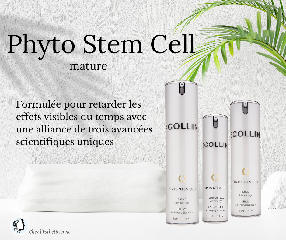 phyto stem cell